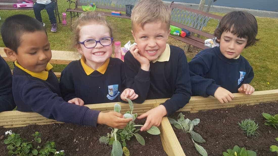 Clonbonny National School