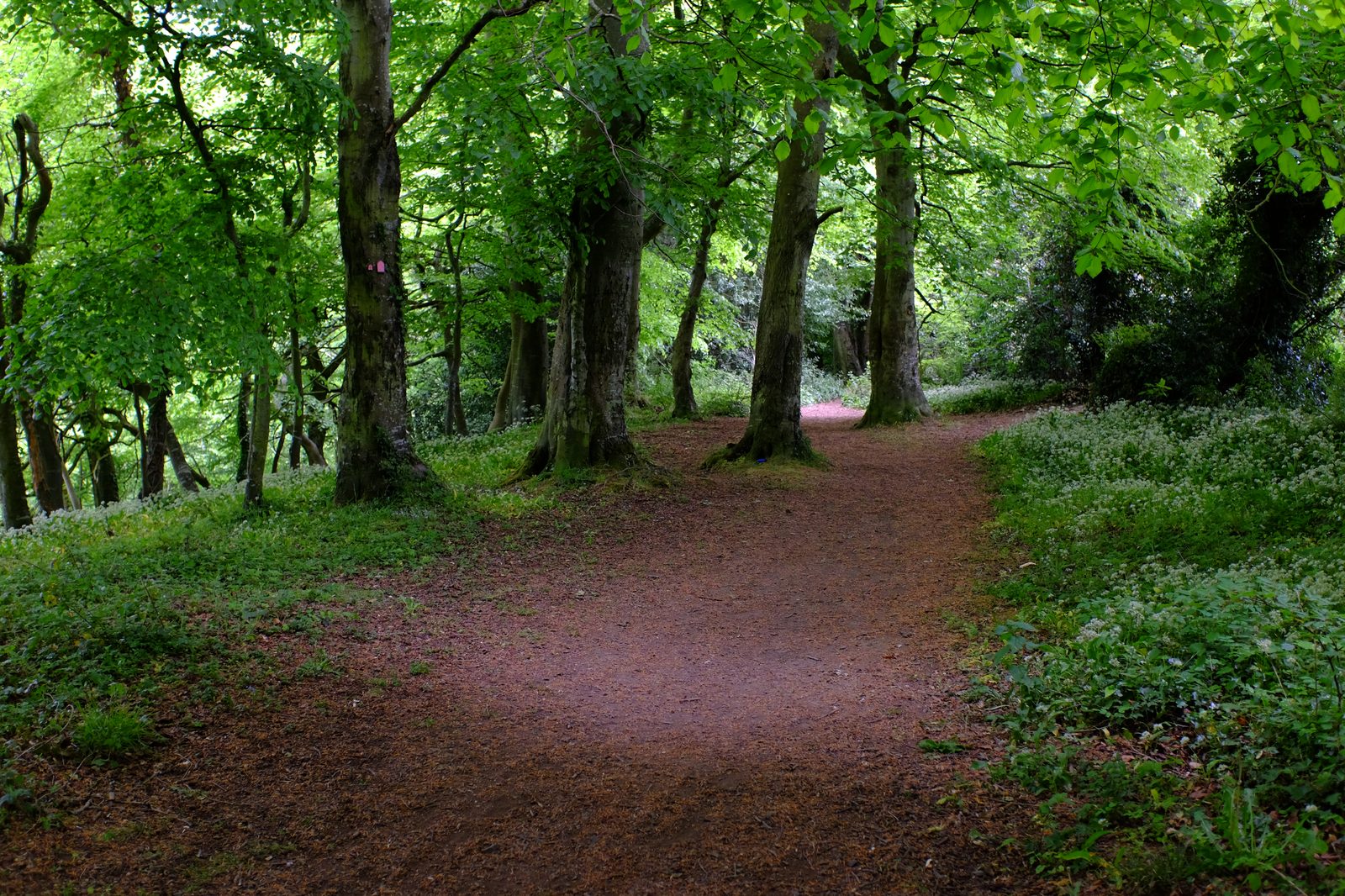 Ward River Valley Park, senderos y naturaleza